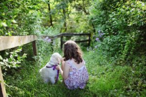 4 Tips on Introducing Dogs and Kids