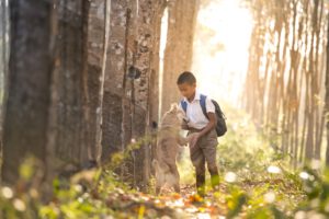 4 Tips on Introducing Dogs and Kids