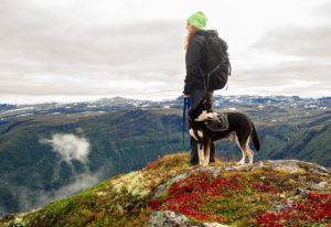 10 Tips to Remember When Hiking With Your Dog