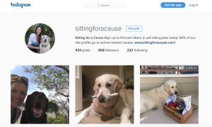 Sitting for a Cause Instagram