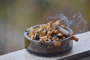 Secondhand Smoke and Your Pet: What You Need to Know Before Lighting Up