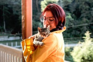 5 Ways to Improve Your Relationship with Your Cat