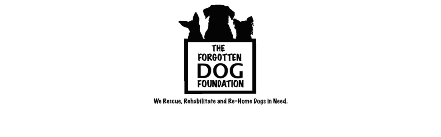 The Forgotten Dog Foundation